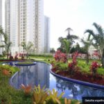 Mairarê Reserva Raposo