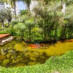 Carpas Resort Tambore