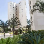 original895193325-736.3529824360004IMG9866